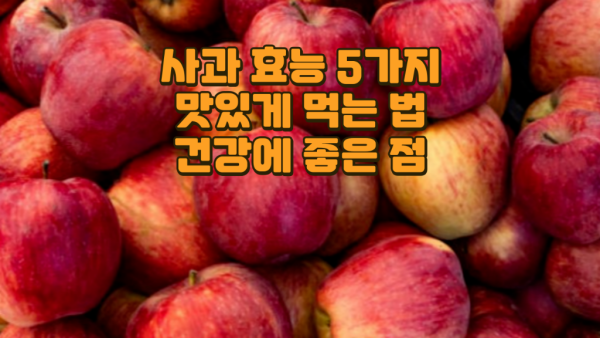 사과 효능 5가지 I 사과 맛있게 먹는 법 I 사과 건강에 좋은 점 I 사과 같이 먹으면 좋은 식재료.png