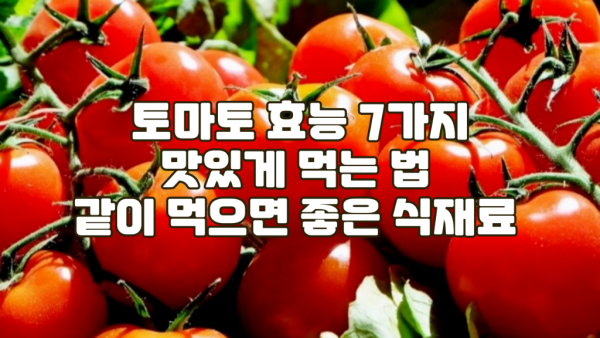 토마토 효능 7가지 I 토마토 맛있게 먹는 법 I 토마토와 함께 먹으면 좋은 식재료.png