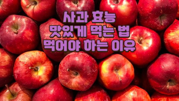 사과 효능 7가지 I 사과 맛있게 먹는 법 I 사과 먹어야 하는 이유.png