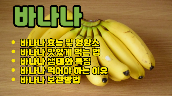 바나나 효능 I 바나나 생태와 특징 I 바나나 먹어야 하는 이유.png
