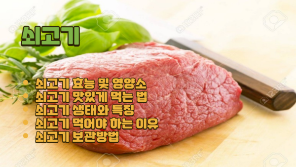 쇠고기 효능 I 쇠고기 생태와 특징 I 쇠고기 먹어야 하는 이유.png