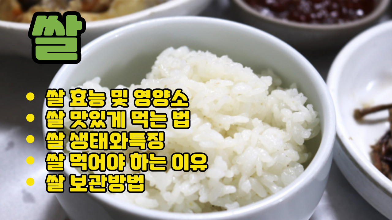 쌀 효능 I 쌀 생태와 특징 I 쌀 먹어야 하는 이유