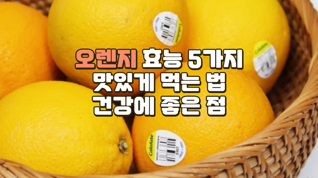 오렌지 효능 5가지 I 오렌지 맛있게 먹는 법 I 오렌지 건강에 좋은 점 I 오렌지 같이 먹으면 좋은 식재료