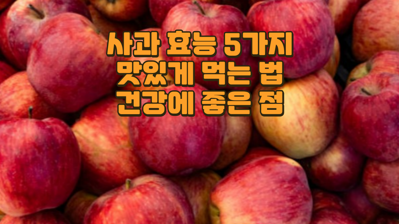 사과 효능 5가지 I 사과 맛있게 먹는 법 I 사과 건강에 좋은 점 I 사과 같이 먹으면 좋은 식재료