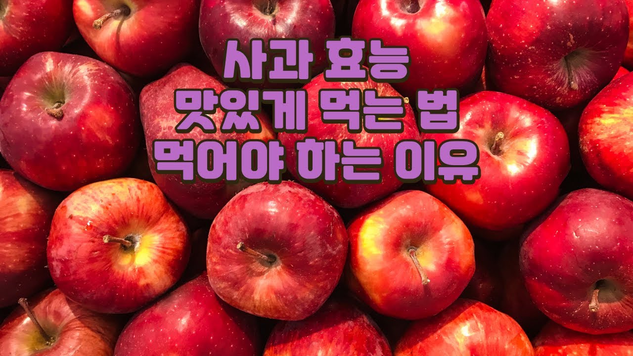 사과 효능 7가지 I 사과 맛있게 먹는 법 I 사과 먹어야 하는 이유