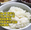 쌀 효능 I 쌀 생태와 특징 I 쌀 먹어야 하는 이유