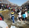 금산군,제10회 금산천 봄꽃축제 ‘둔치공원’ 벚꽃 행사