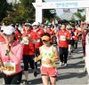 평화통일 마라톤대회 동호인 과 시민 외국인