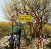 경기도,2017 ‘이천 백사 산수유’ 4월 꽃 축제