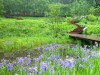 포천시, 평강식물원 연못정원 푸른잔디광장 12개 테마 조성
