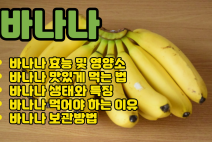 바나나 효능 I 바나나 생태와 특징 I 바나나 먹어야 하는 이유