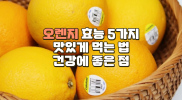 오렌지 효능 5가지 I 오렌지 맛있게 먹는 법 I 오렌지 건강에 좋은 점 I 오렌지 같이 먹으면 좋은 식재료