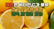 레몬은 감기및감염 예방에 놀라운 효과?