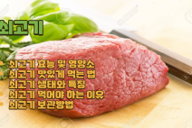 쇠고기 효능 I 쇠고기 생태와 특징 I 쇠고기 먹어야 하는 이유