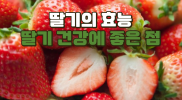 딸기의 효능, 건강에 좋은 점