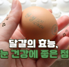 달걀의 효능, 눈 건강에 좋은 점
