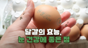 달걀의 효능, 눈 건강에 좋은 점